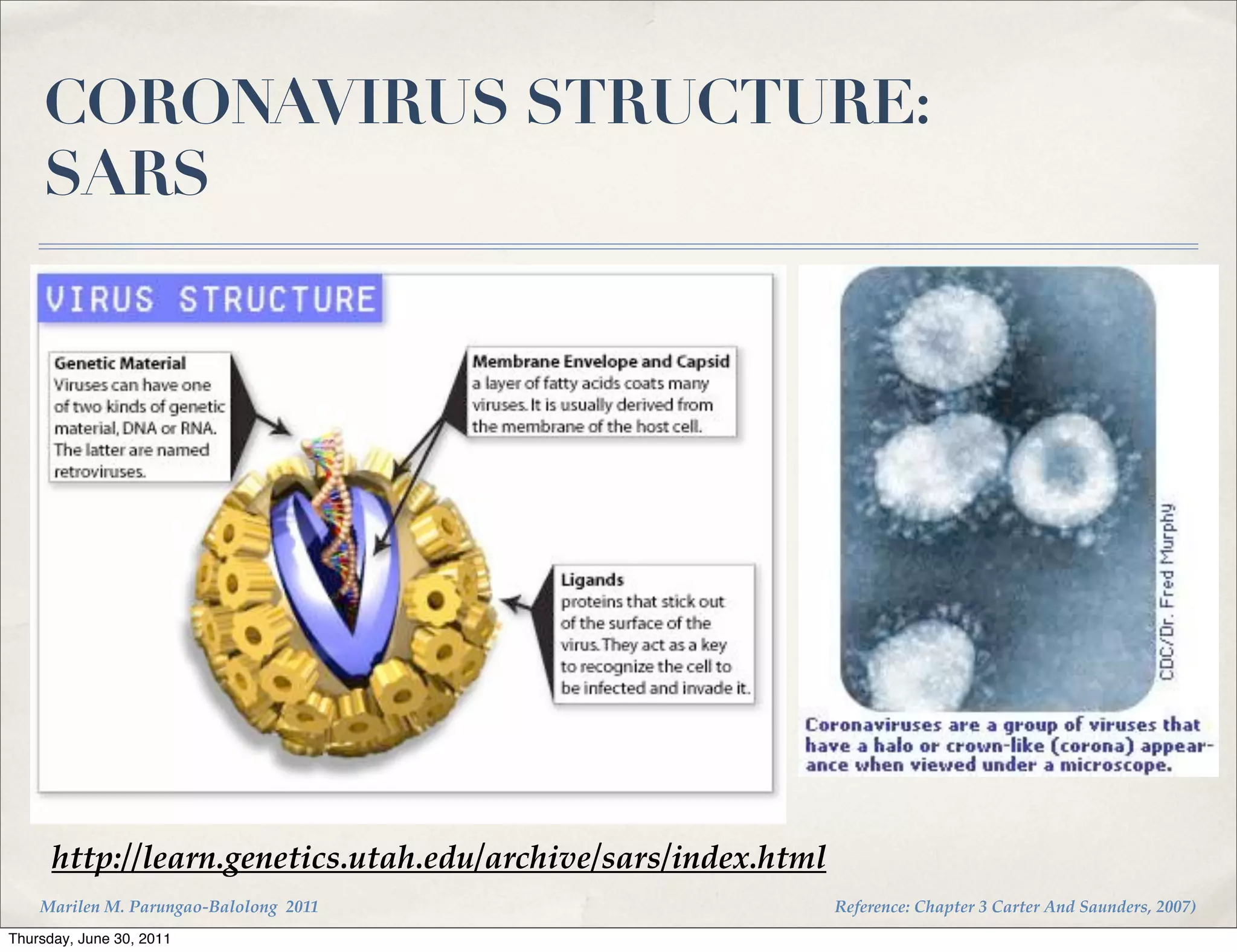 CORONAVIRUS STRUCTURE:
    SARS




      http://learn.genetics.utah.edu/archive/sars/index.html
    Marilen M. Parungao-Balolong 2011                          Reference: Chapter 3 Carter And Saunders, 2007)
Thursday, June 30, 2011
 