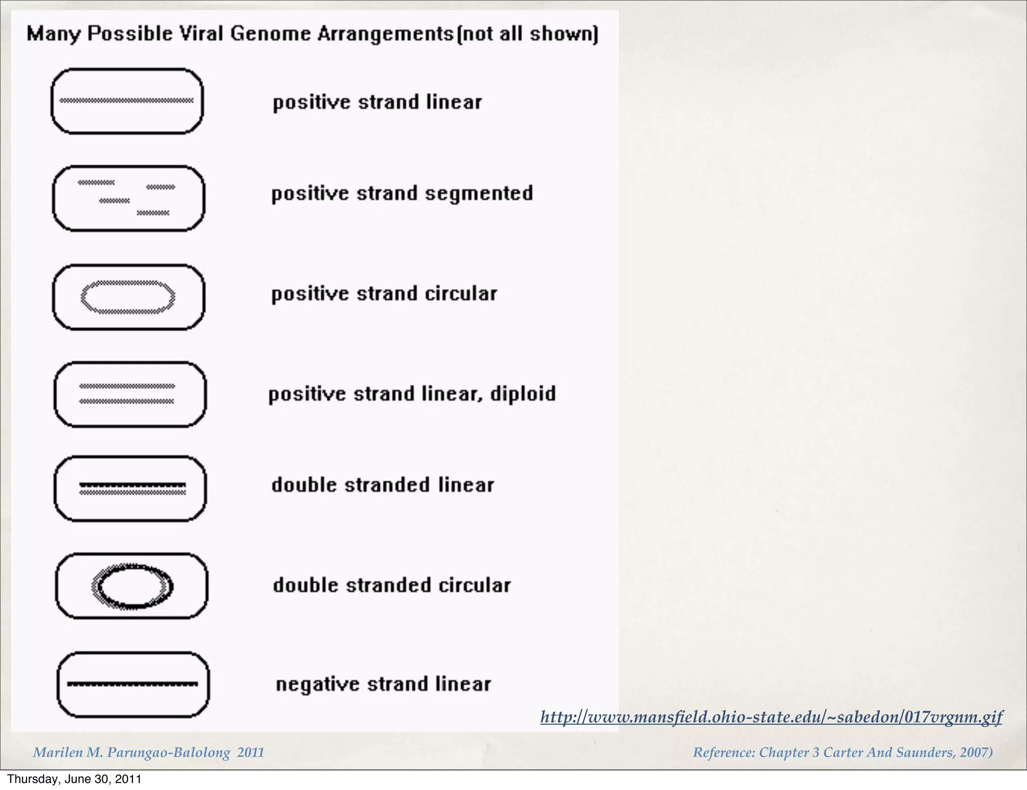 http://www.mansﬁeld.ohio-state.edu/~sabedon/017vrgnm.gif

    Marilen M. Parungao-Balolong 2011                     Reference: Chapter 3 Carter And Saunders, 2007)
Thursday, June 30, 2011
 