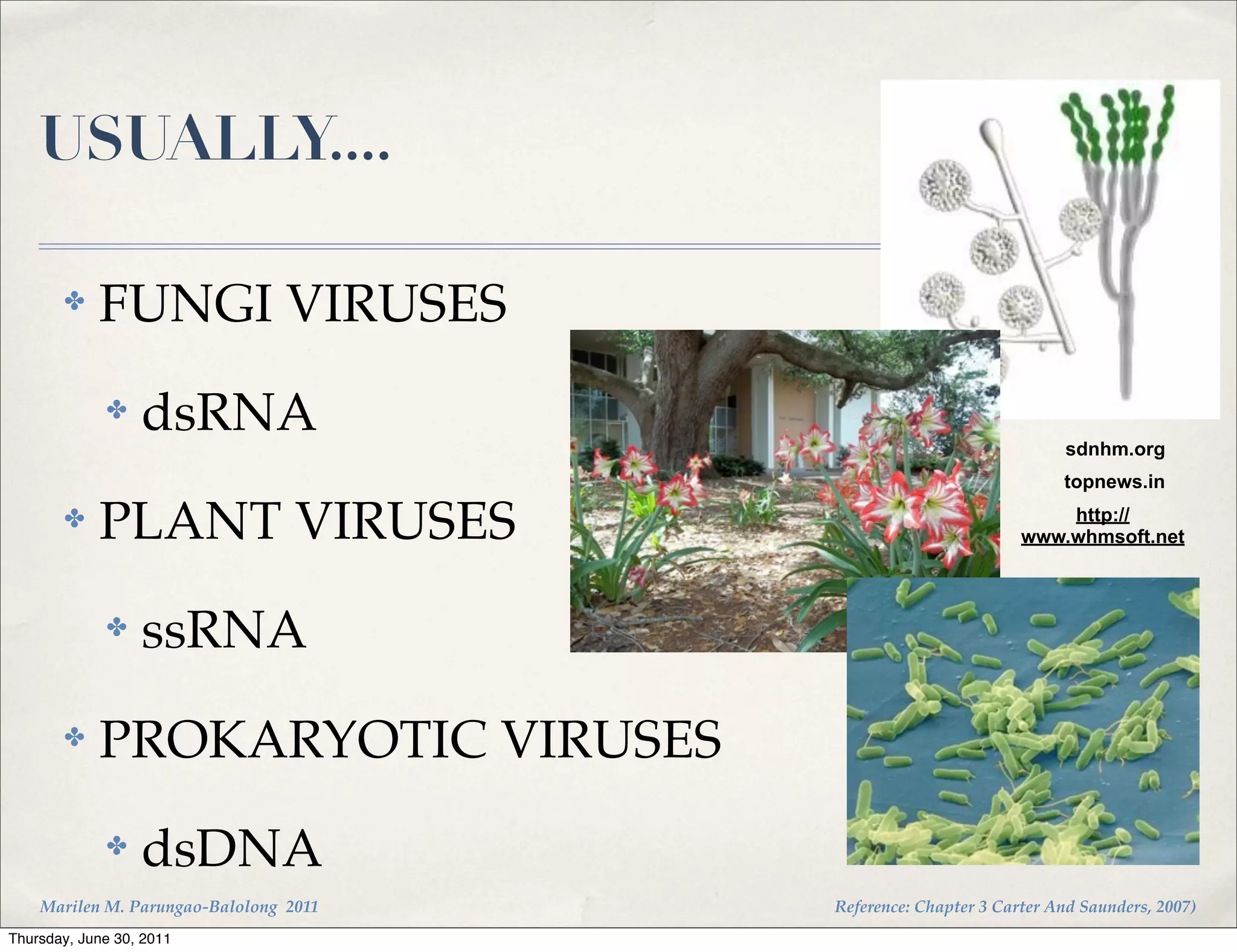 USUALLY....

       ✤    FUNGI VIRUSES
             ✤    dsRNA                                               sdnhm.org
                                                                     topnews.in

       ✤    PLANT VIRUSES                                           http://
                                                                www.whmsoft.net



             ✤    ssRNA
       ✤    PROKARYOTIC VIRUSES
             ✤    dsDNA
    Marilen M. Parungao-Balolong 2011   Reference: Chapter 3 Carter And Saunders, 2007)
Thursday, June 30, 2011
 