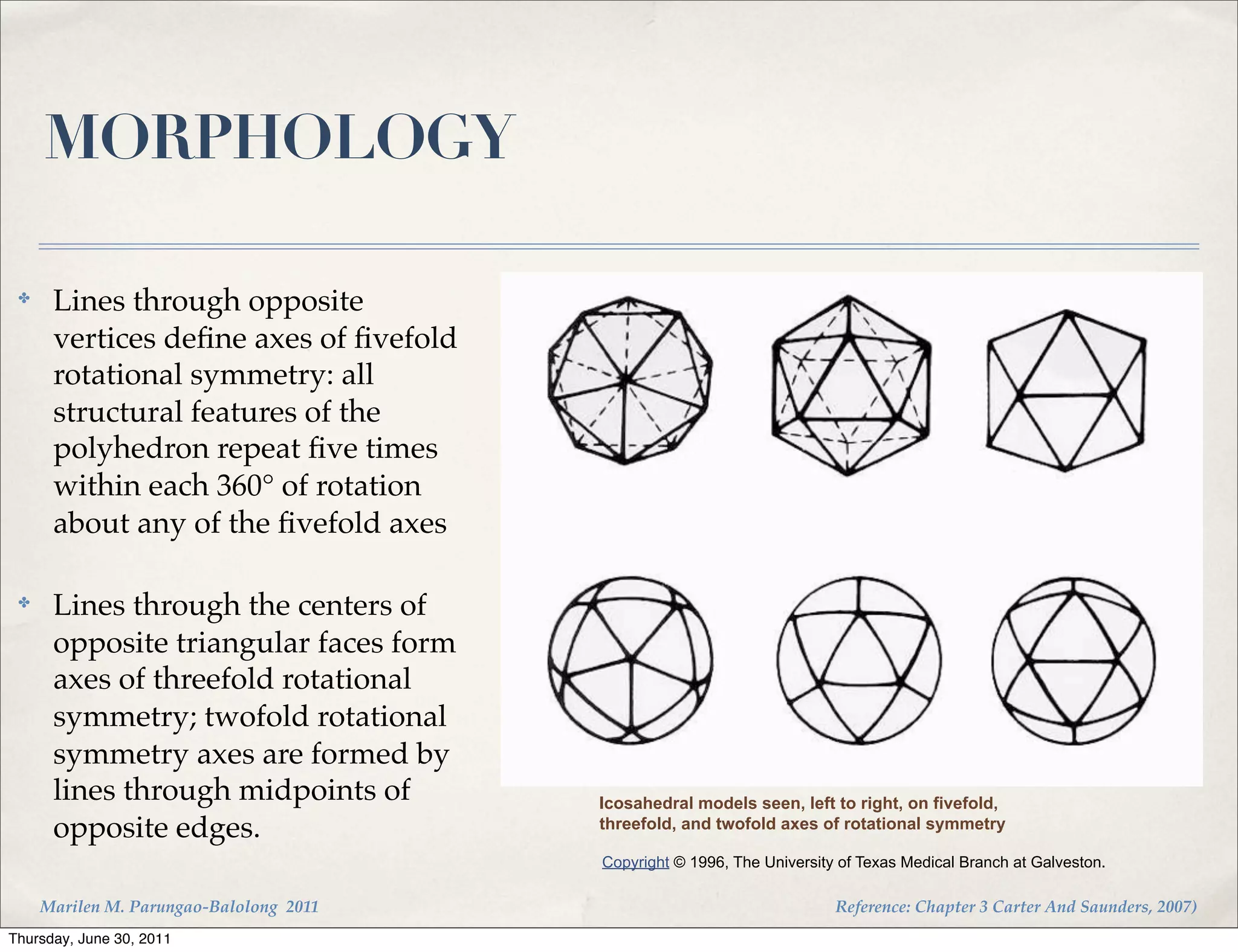 MORPHOLOGY

 ✤
      Lines through opposite
      vertices deﬁne axes of ﬁvefold
      rotational symmetry: all
      structural features of the
      polyhedron repeat ﬁve times
      within each 360° of rotation
      about any of the ﬁvefold axes

 ✤
      Lines through the centers of
      opposite triangular faces form
      axes of threefold rotational
      symmetry; twofold rotational
      symmetry axes are formed by
      lines through midpoints of         Icosahedral models seen, left to right, on fivefold,
      opposite edges.                    threefold, and twofold axes of rotational symmetry

                                         Copyright © 1996, The University of Texas Medical Branch at Galveston.

     Marilen M. Parungao-Balolong 2011                                   Reference: Chapter 3 Carter And Saunders, 2007)
Thursday, June 30, 2011
 