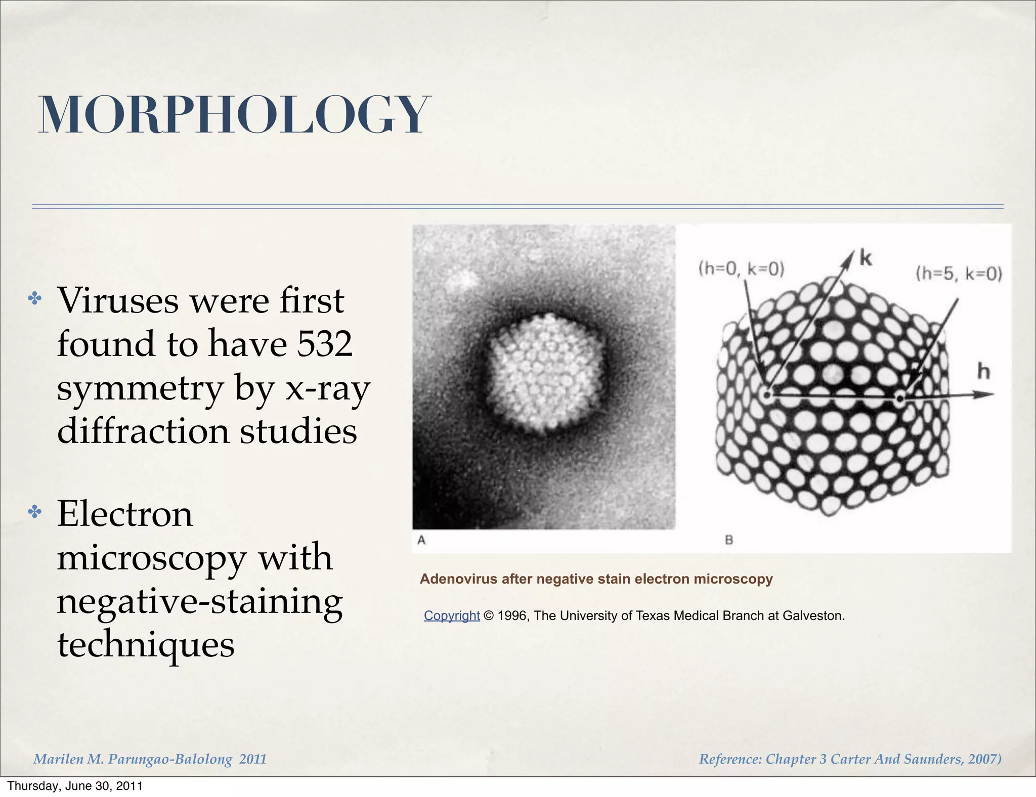 MORPHOLOGY


   ✤    Viruses were ﬁrst
        found to have 532
        symmetry by x-ray
        diffraction studies
   ✤    Electron
        microscopy with                 Adenovirus after negative stain electron microscopy

        negative-staining               Copyright © 1996, The University of Texas Medical Branch at Galveston.

        techniques

    Marilen M. Parungao-Balolong 2011                                                Reference: Chapter 3 Carter And Saunders, 2007)
Thursday, June 30, 2011
 