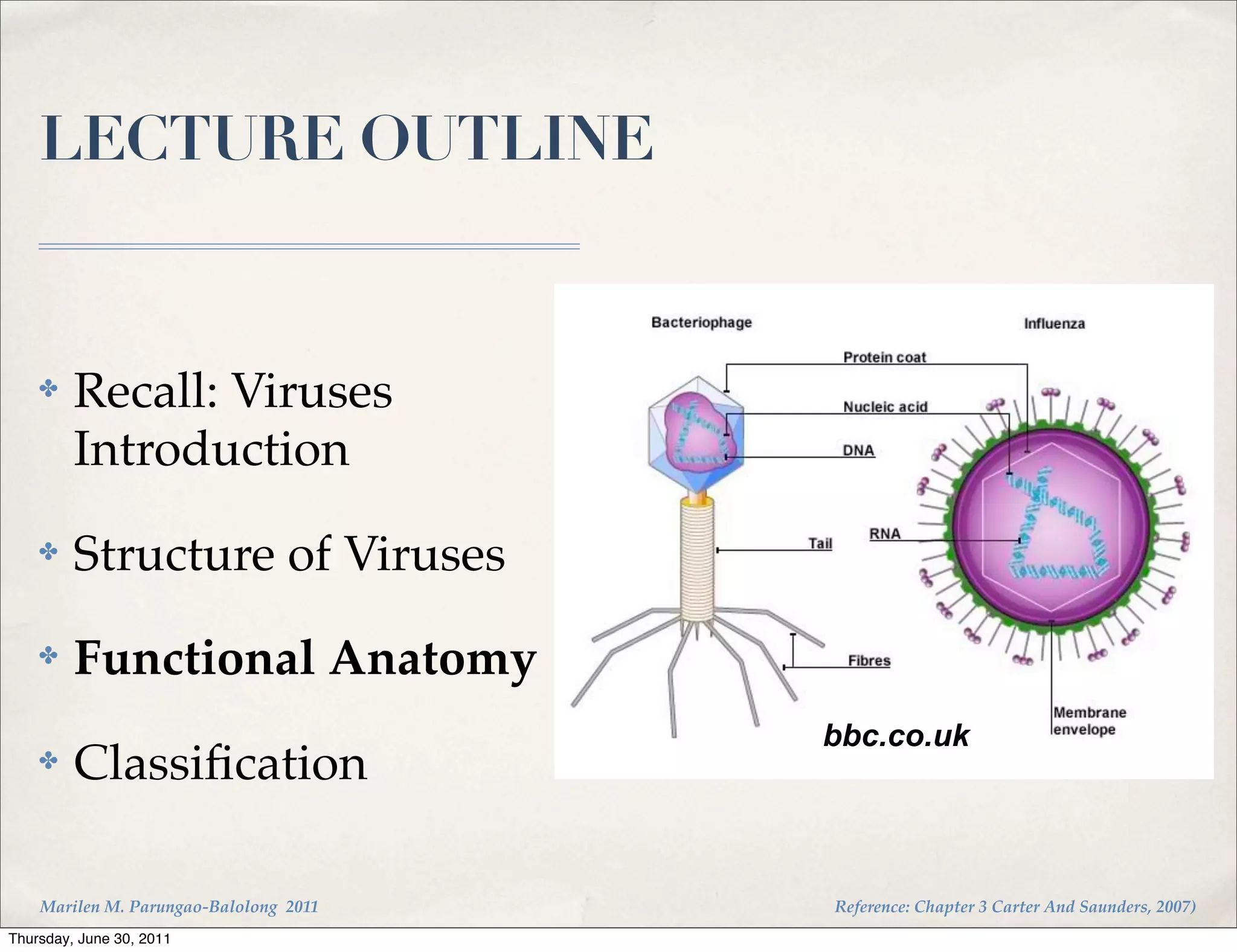 LECTURE OUTLINE


    ✤    Recall: Viruses
         Introduction
    ✤    Structure of Viruses
    ✤    Functional Anatomy
                                        bbc.co.uk
    ✤    Classiﬁcation

    Marilen M. Parungao-Balolong 2011   Reference: Chapter 3 Carter And Saunders, 2007)
Thursday, June 30, 2011
 