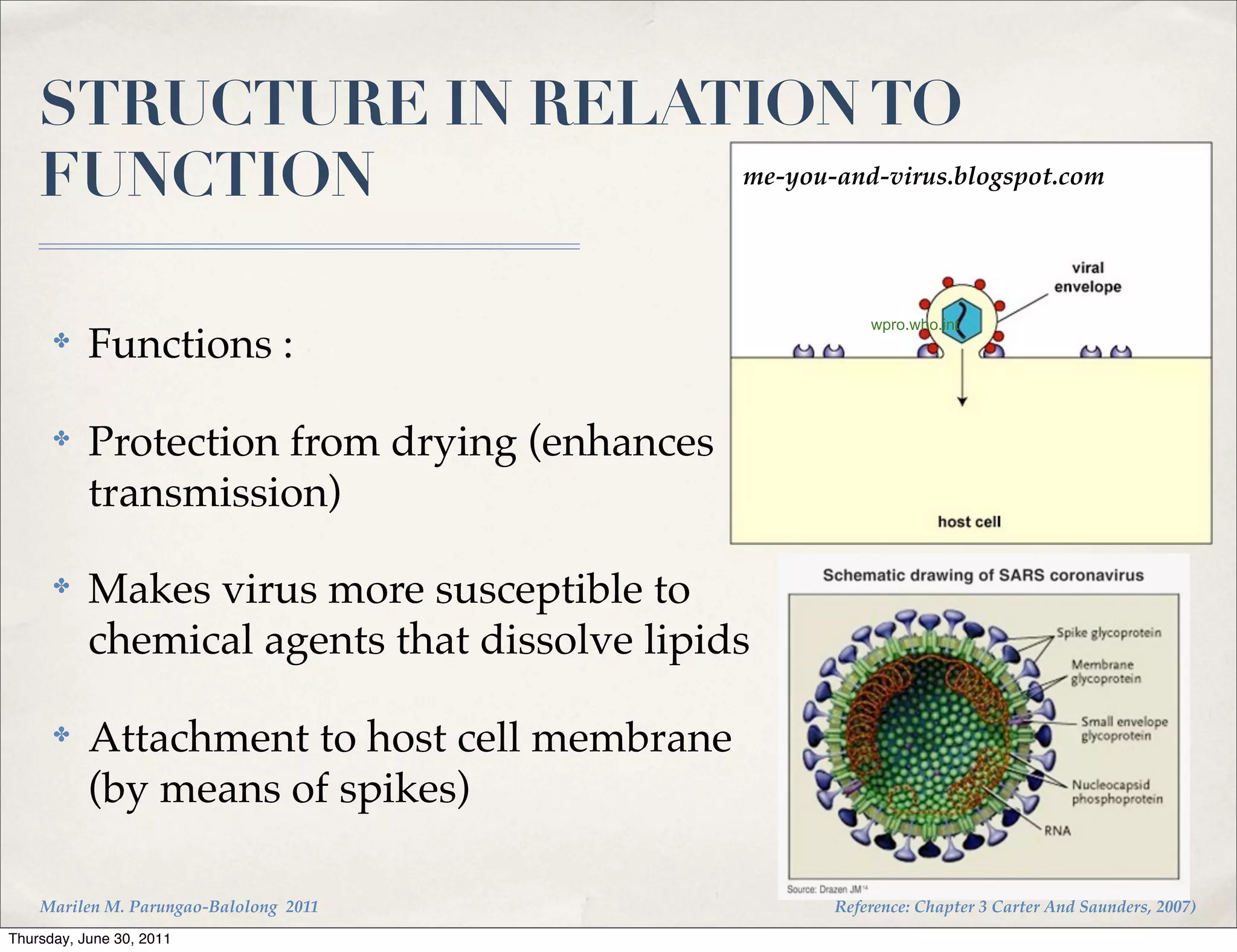 STRUCTURE IN RELATION TO
    FUNCTION          me-you-and-virus.blogspot.com




                                                      wpro.who.int
      ✤    Functions :

      ✤    Protection from drying (enhances
           transmission)

      ✤    Makes virus more susceptible to
           chemical agents that dissolve lipids

      ✤    Attachment to host cell membrane
           (by means of spikes)

    Marilen M. Parungao-Balolong 2011             Reference: Chapter 3 Carter And Saunders, 2007)
Thursday, June 30, 2011
 