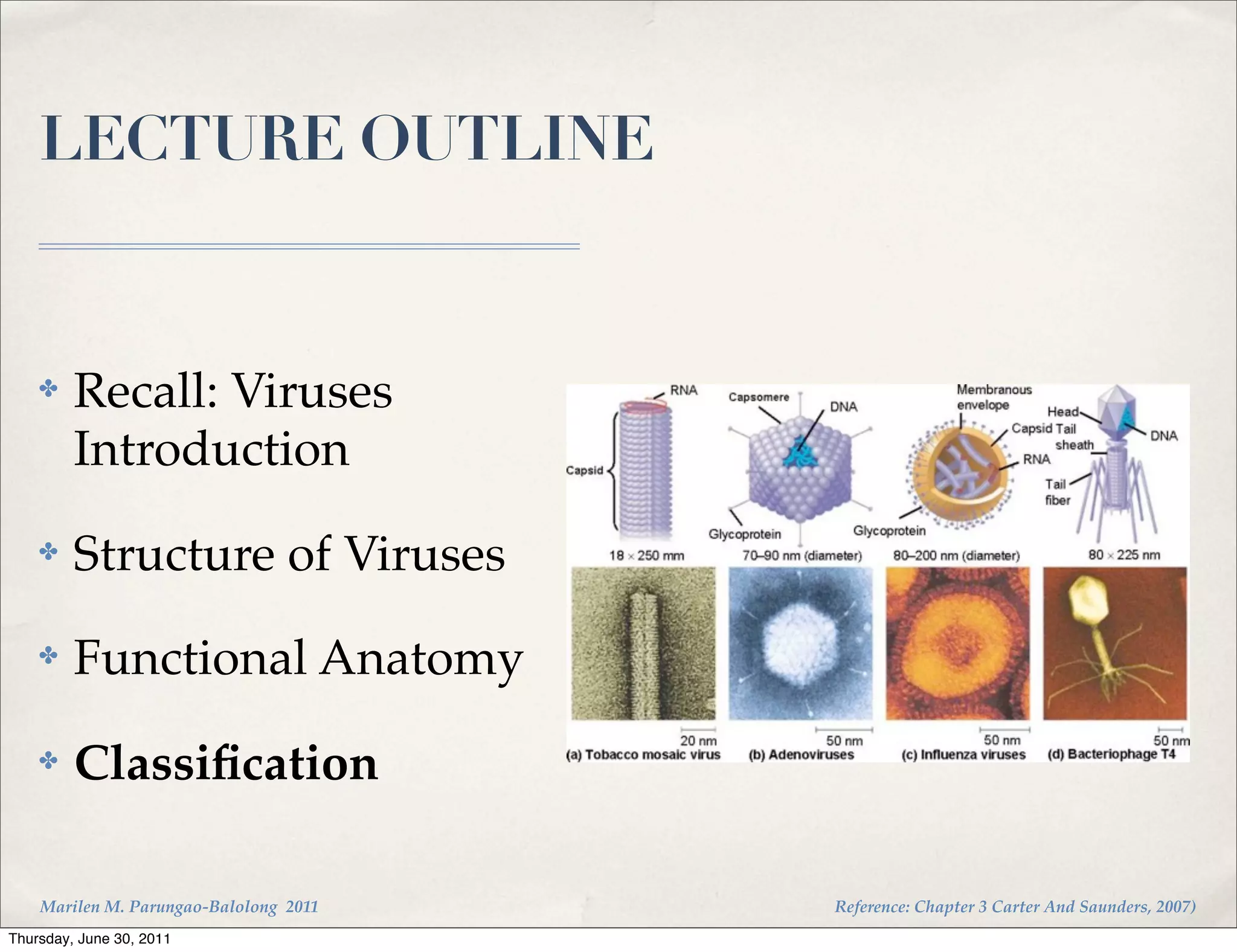 LECTURE OUTLINE


    ✤    Recall: Viruses
         Introduction
    ✤    Structure of Viruses
    ✤    Functional Anatomy
    ✤    Classiﬁcation

    Marilen M. Parungao-Balolong 2011   Reference: Chapter 3 Carter And Saunders, 2007)
Thursday, June 30, 2011
 