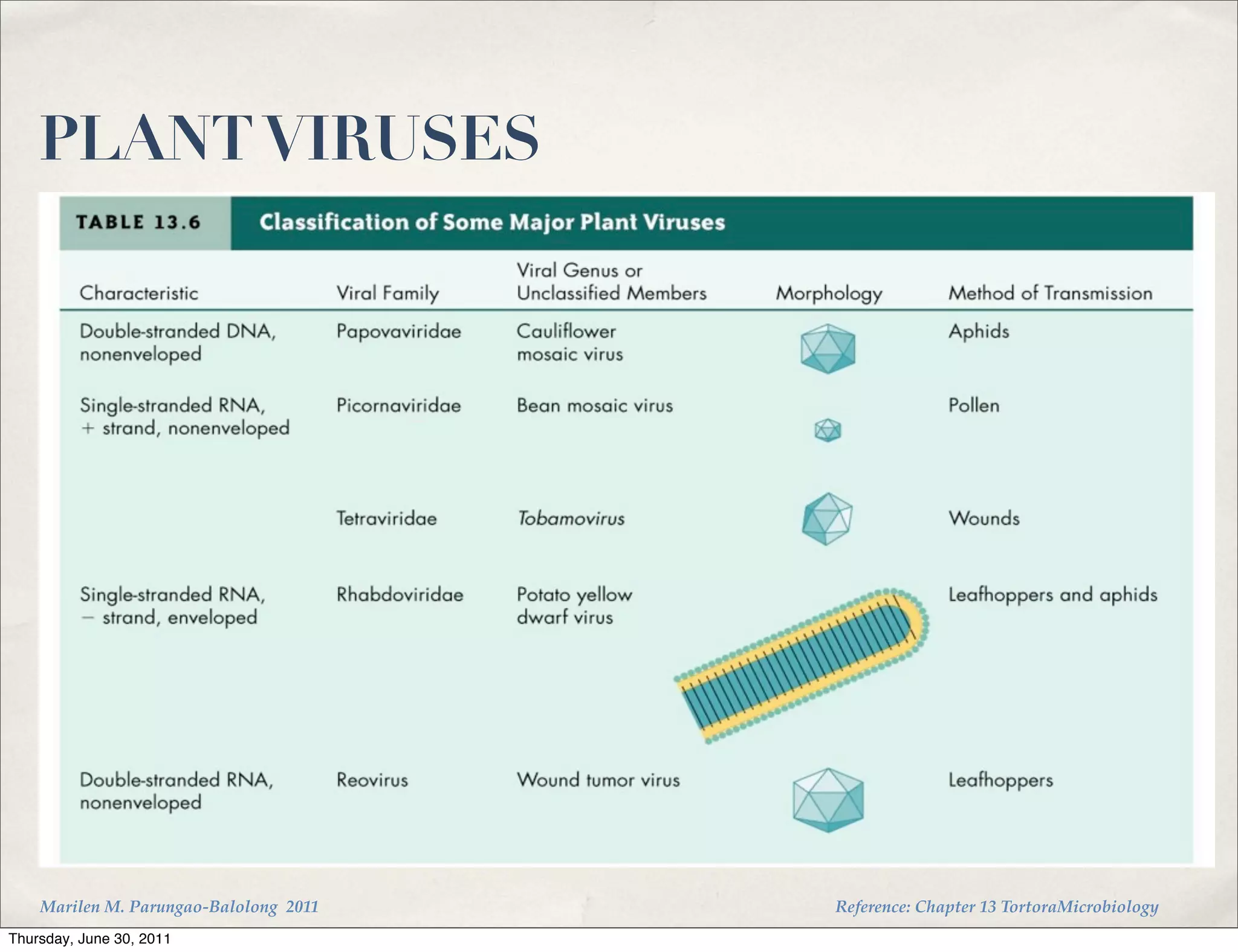 PLANT VIRUSES




    Marilen M. Parungao-Balolong 2011   Reference: Chapter 13 TortoraMicrobiology
Thursday, June 30, 2011
 