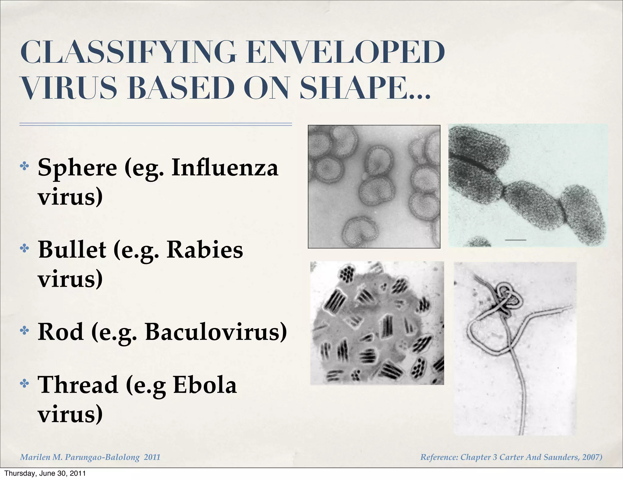 CLASSIFYING ENVELOPED
    VIRUS BASED ON SHAPE...

    ✤    Sphere (eg. Inﬂuenza
         virus)
    ✤    Bullet (e.g. Rabies
         virus)
    ✤    Rod (e.g. Baculovirus)
    ✤    Thread (e.g Ebola
         virus)
    Marilen M. Parungao-Balolong 2011   Reference: Chapter 3 Carter And Saunders, 2007)
Thursday, June 30, 2011
 