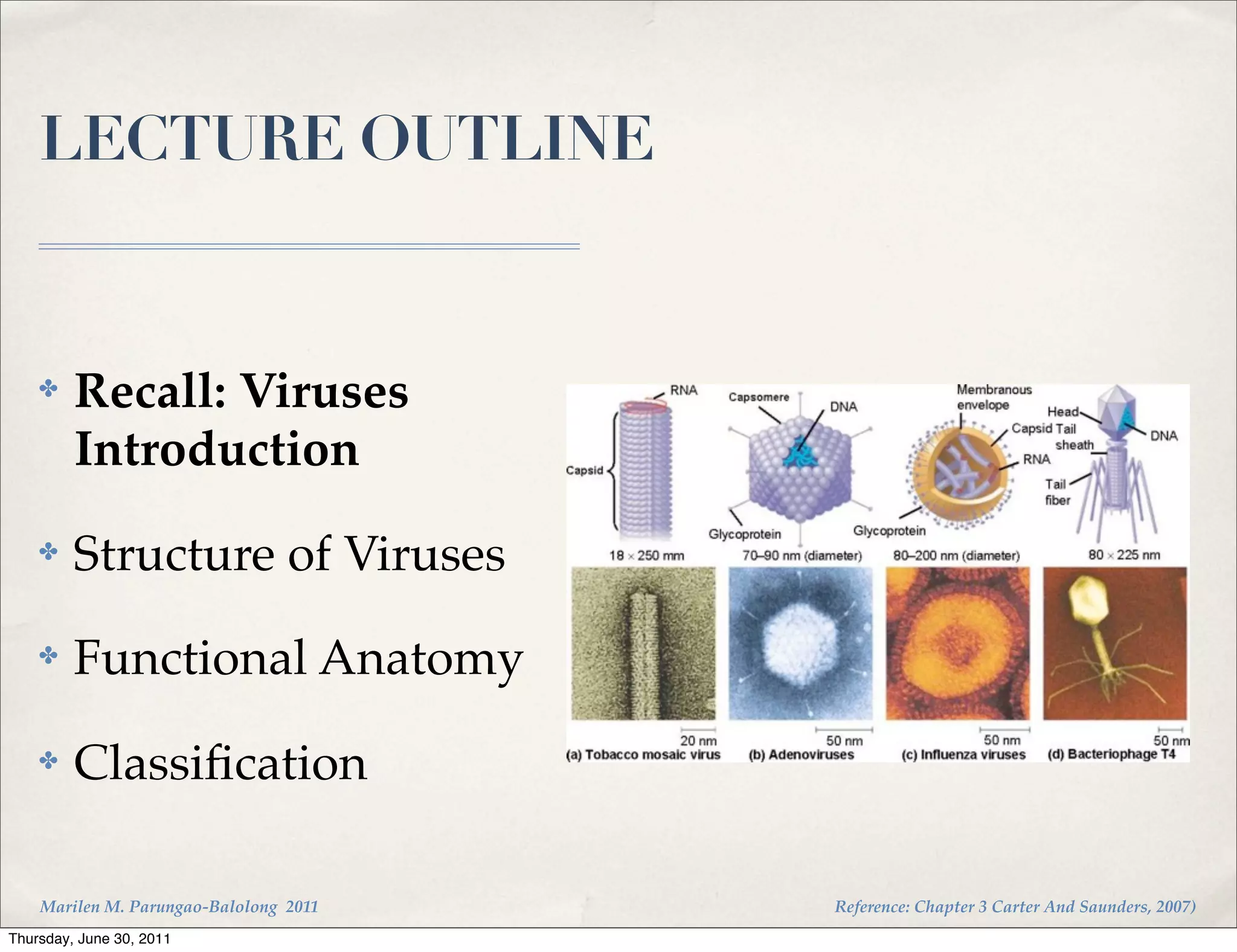 LECTURE OUTLINE


    ✤    Recall: Viruses
         Introduction
    ✤    Structure of Viruses
    ✤    Functional Anatomy
    ✤    Classiﬁcation

    Marilen M. Parungao-Balolong 2011   Reference: Chapter 3 Carter And Saunders, 2007)
Thursday, June 30, 2011
 