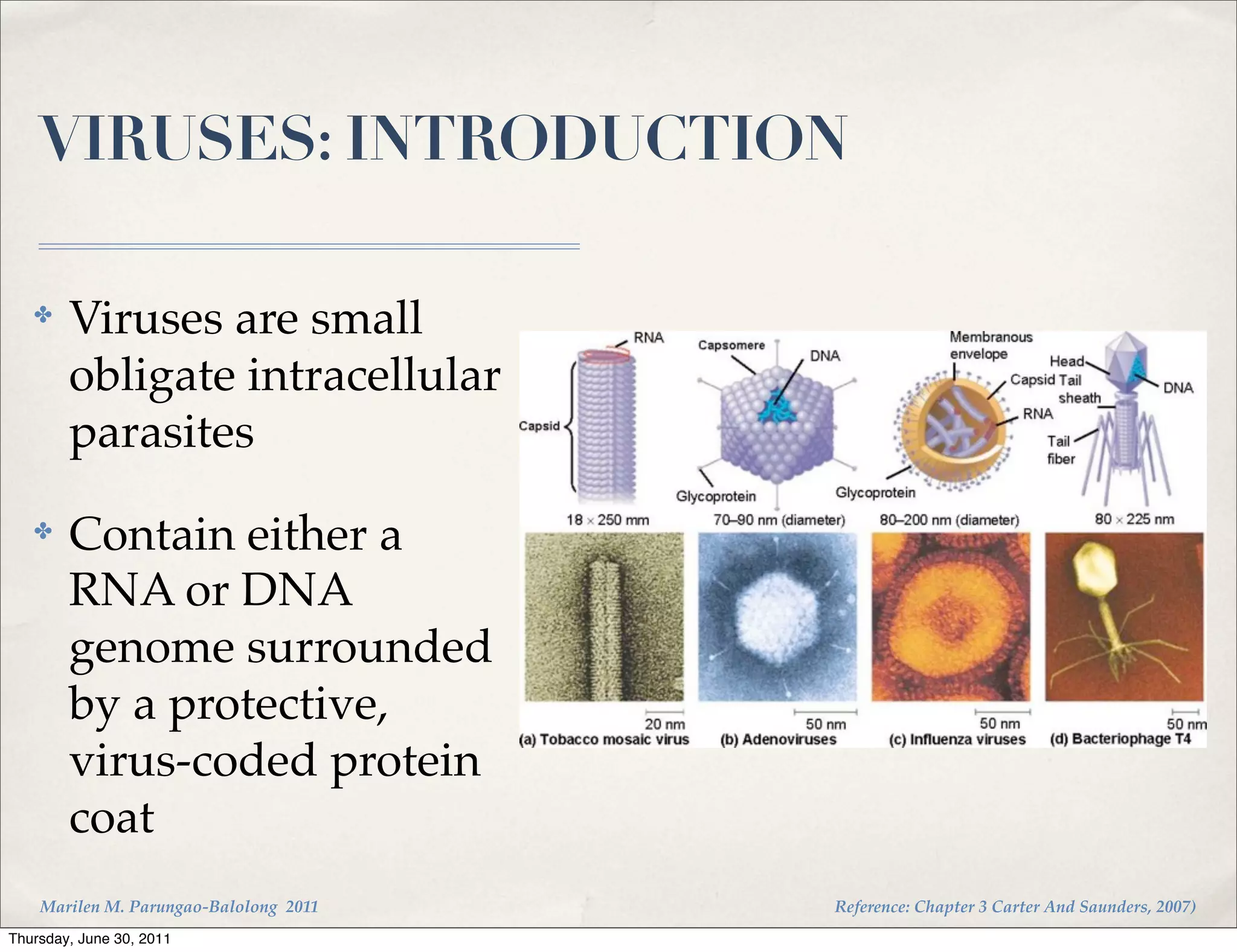 VIRUSES: INTRODUCTION

   ✤    Viruses are small
        obligate intracellular
        parasites
   ✤    Contain either a
        RNA or DNA
        genome surrounded
        by a protective,
        virus-coded protein
        coat
    Marilen M. Parungao-Balolong 2011   Reference: Chapter 3 Carter And Saunders, 2007)
Thursday, June 30, 2011
 
