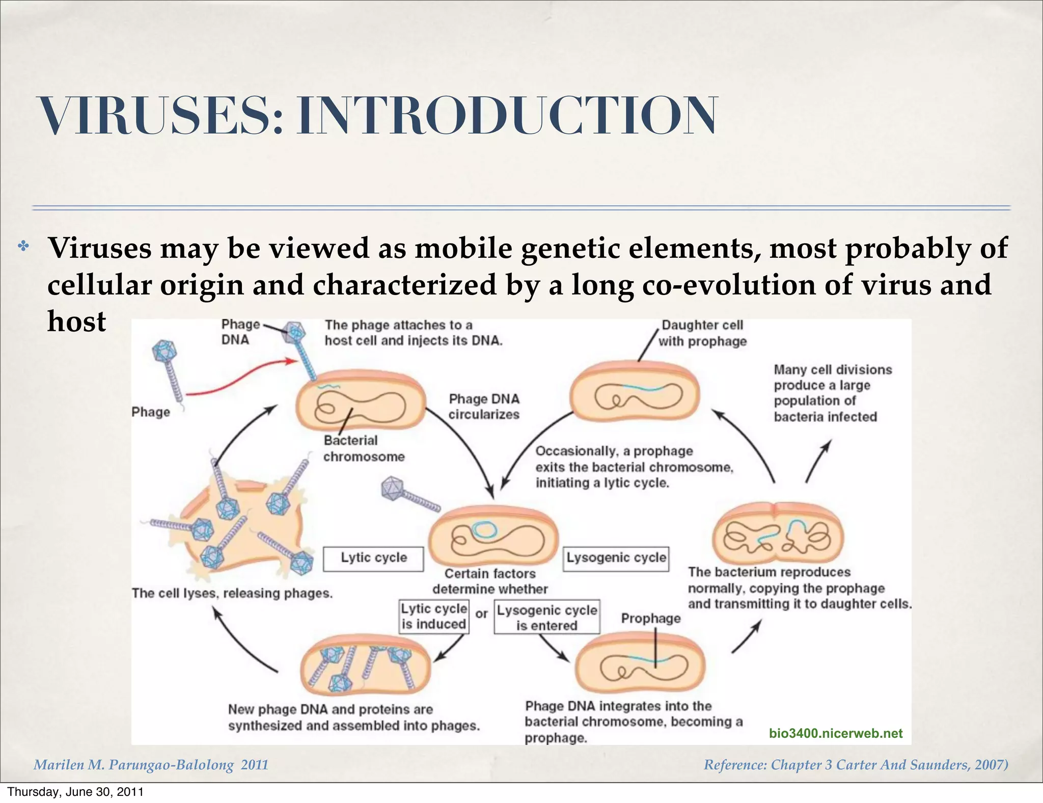VIRUSES: INTRODUCTION

 ✤    Viruses may be viewed as mobile genetic elements, most probably of
      cellular origin and characterized by a long co-evolution of virus and
      host




                                                               bio3400.nicerweb.net

     Marilen M. Parungao-Balolong 2011               Reference: Chapter 3 Carter And Saunders, 2007)
Thursday, June 30, 2011
 