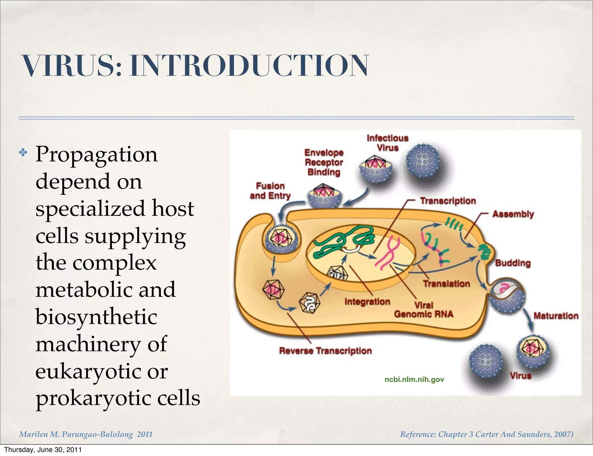 VIRUS: INTRODUCTION

    ✤    Propagation
         depend on
         specialized host
         cells supplying
         the complex
         metabolic and
         biosynthetic
         machinery of
         eukaryotic or                  ncbi.nlm.nih.gov


         prokaryotic cells
    Marilen M. Parungao-Balolong 2011       Reference: Chapter 3 Carter And Saunders, 2007)
Thursday, June 30, 2011
 