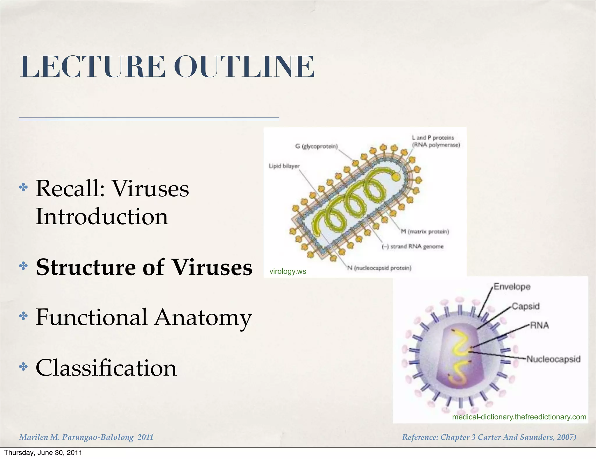 LECTURE OUTLINE


    ✤    Recall: Viruses
         Introduction
    ✤    Structure of Viruses           virology.ws




    ✤    Functional Anatomy
    ✤    Classiﬁcation
                                                                   medical-dictionary.thefreedictionary.com

    Marilen M. Parungao-Balolong 2011                 Reference: Chapter 3 Carter And Saunders, 2007)
Thursday, June 30, 2011
 