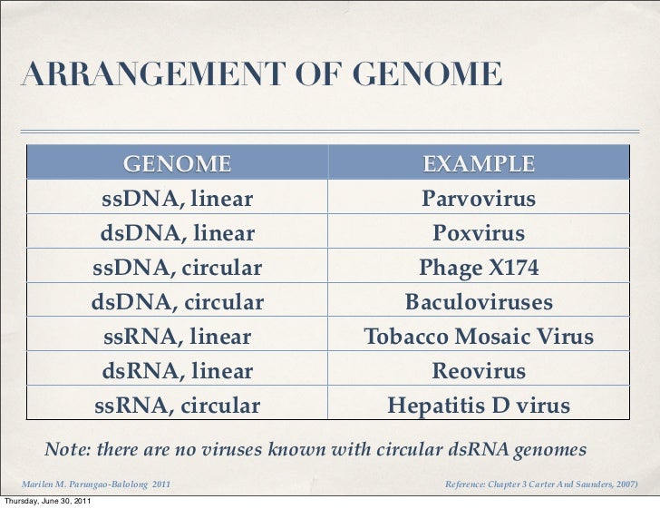 Virology Lecture 2 Viral Structure Virology Lecture 2 Viral Structure
