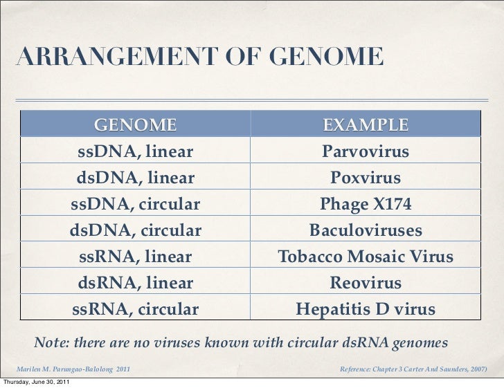 Virology Lecture 2 Viral Structure