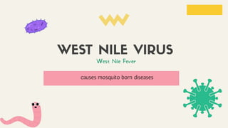 causes mosquito born diseases
 