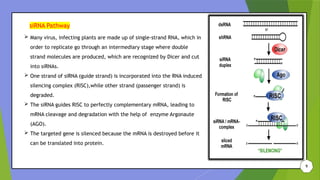 Role of RNA silencing in management of plant disease management | PPTX