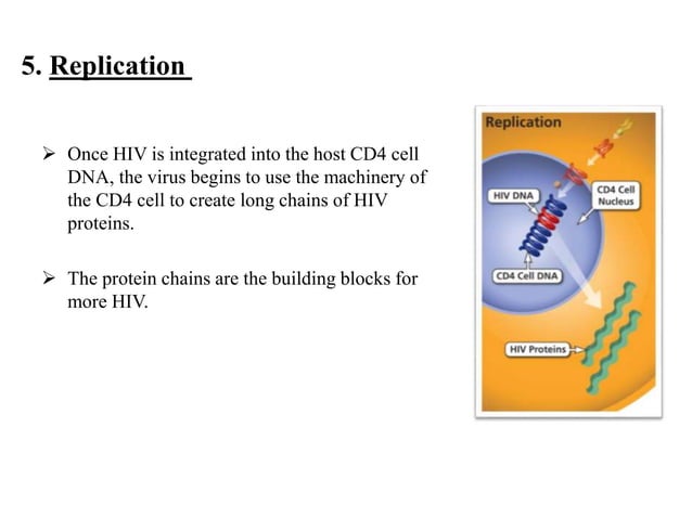 virology presentation.pptx life cycle of the hiv | PPT