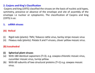 2. Casjens and King’s Classification
Casjens and king (1975) classified the viruses on the basis of nucleic acid types,
symmetry, presence or absence of the envelope and site of assembly of the
envelope i.e nuclear or cytoplasmic. The classification of Casjens and king
(1975) is as:
1. ssRNA viruses
(A) Helical
(i) Rigid rods (plants): TMV, Tobacco rattle virus, barley stripe mosaic virus
(ii) Flexous rods (plants): Potato X and Y viruses, clover yellow mosaic virus.
(B) Icosahedral
(i) Spherical plant viruses
(a) With 180 identical capsomers (T=3). e.g. cowpea chlorotic mosaic virus,
cucumber mosaic virus, turnip yellow.
(b) With 60 subunits of two structural proteins (T=1) e.g. cowpea mosaic
virus.
 