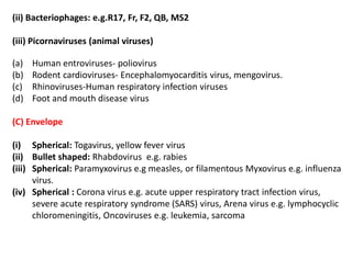 (ii) Bacteriophages: e.g.R17, Fr, F2, QB, MS2
(iii) Picornaviruses (animal viruses)
(a) Human entroviruses- poliovirus
(b) Rodent cardioviruses- Encephalomyocarditis virus, mengovirus.
(c) Rhinoviruses-Human respiratory infection viruses
(d) Foot and mouth disease virus
(C) Envelope
(i) Spherical: Togavirus, yellow fever virus
(ii) Bullet shaped: Rhabdovirus e.g. rabies
(iii) Spherical: Paramyxovirus e.g measles, or filamentous Myxovirus e.g. influenza
virus.
(iv) Spherical : Corona virus e.g. acute upper respiratory tract infection virus,
severe acute respiratory syndrome (SARS) virus, Arena virus e.g. lymphocyclic
chloromeningitis, Oncoviruses e.g. leukemia, sarcoma
 