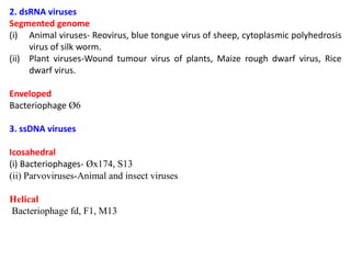 2. dsRNA viruses
Segmented genome
(i) Animal viruses- Reovirus, blue tongue virus of sheep, cytoplasmic polyhedrosis
virus of silk worm.
(ii) Plant viruses-Wound tumour virus of plants, Maize rough dwarf virus, Rice
dwarf virus.
Enveloped
Bacteriophage Ø6
3. ssDNA viruses
Icosahedral
(i) Bacteriophages- Øx174, S13
(ii) Parvoviruses-Animal and insect viruses
Helical
Bacteriophage fd, F1, M13
 