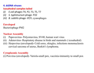 4. dsDNA viruses
Icosahedral complex tailed
(i) E.coli phages-T4, P2, T3, T5, T7
(ii) S. typhimurium phage- P22
(iii) B. subtilis phage- Ø29, cyanophages
Enveloped
Bacteriophage PM2
Nuclear Assembly
(i) Papovavirus- Polyomavirus, SV40, human wart virus
(ii) Adenovirus- Respiratory disease in birds and mammals ( icosahedral)
(iii) Herpsvirus (enveloped)- Cold sores, shingles, infections mononucleosis
cervical sarcoma of uterus, Burkitt’s lymphoma.
Cytoplasmic Assembly
(i) Poxvirus (enveloped)- Variola-small pox, vaccinia-immunity to small pox
 