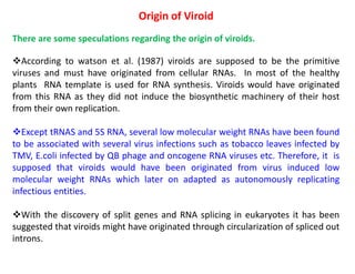 Origin of Viroid
There are some speculations regarding the origin of viroids.
According to watson et al. (1987) viroids are supposed to be the primitive
viruses and must have originated from cellular RNAs. In most of the healthy
plants RNA template is used for RNA synthesis. Viroids would have originated
from this RNA as they did not induce the biosynthetic machinery of their host
from their own replication.
Except tRNAS and 5S RNA, several low molecular weight RNAs have been found
to be associated with several virus infections such as tobacco leaves infected by
TMV, E.coli infected by QB phage and oncogene RNA viruses etc. Therefore, it is
supposed that viroids would have been originated from virus induced low
molecular weight RNAs which later on adapted as autonomously replicating
infectious entities.
With the discovery of split genes and RNA splicing in eukaryotes it has been
suggested that viroids might have originated through circularization of spliced out
introns.
 