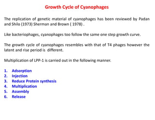 Growth Cycle of Cyanophages
The replication of genetic material of cyanophages has been reviewed by Padan
and Shilo (1973) Sherman and Brown ( 1978) .
Like bacteriophages, cyanophages too follow the same one step growth curve.
The growth cycle of cyanophages resembles with that of T4 phages however the
latent and rise period is different.
Multiplication of LPP-1 is carried out in the following manner.
1. Adsorption
2. Injection
3. Reduce Protein synthesis
4. Multiplication
5. Assembly
6. Release
 