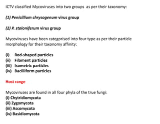 ICTV classified Mycoviruses into two groups as per their taxonomy:
(1) Penicillium chrysogenum virus group
(2) P. stoloniferum virus group
Mycoviruses have been categorised into four type as per their particle
morphology for their taxonomy affinity:
(i) Rod-shaped particles
(ii) Filament particles
(iii) Isometric particles
(iv) Bacilliform particles
Host range
Mycoviruses are found in all four phyla of the true fungi:
(i) Chytridiomycota
(ii) Zygomycota
(iii) Ascomycota
(iv) Basidiomycota
 