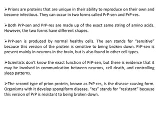 Prions are proteins that are unique in their ability to reproduce on their own and
become infectious. They can occur in two forms called PrP-sen and PrP-res.
Both PrP-sen and PrP-res are made up of the exact same string of amino acids.
However, the two forms have different shapes.
PrP-sen is produced by normal healthy cells. The sen stands for “sensitive”
because this version of the protein is sensitive to being broken down. PrP-sen is
present mainly in neurons in the brain, but is also found in other cell types.
Scientists don’t know the exact function of PrP-sen, but there is evidence that it
may be involved in communication between neurons, cell death, and controlling
sleep patterns.
The second type of prion protein, known as PrP-res, is the disease-causing form.
Organisms with it develop spongiform disease. “res” stands for “resistant” because
this version of PrP is resistant to being broken down.
 
