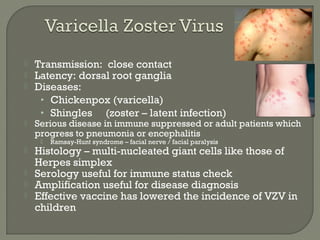  Transmission: close contact
 Latency: dorsal root ganglia
 Diseases:
• Chickenpox (varicella)
• Shingles (zoster – latent infection)
 Serious disease in immune suppressed or adult patients which
progress to pneumonia or encephalitis
 Ramsay-Hunt syndrome – facial nerve / facial paralysis
 Histology – multi-nucleated giant cells like those of
Herpes simplex
 Serology useful for immune status check
 Amplification useful for disease diagnosis
 Effective vaccine has lowered the incidence of VZV in
children
 
