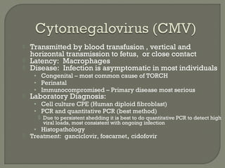  Transmitted by blood transfusion , vertical and
horizontal transmission to fetus, or close contact
 Latency: Macrophages
 Disease: Infection is asymptomatic in most individuals
• Congenital – most common cause of TORCH
• Perinatal
• Immunocompromised – Primary disease most serious
 Laboratory Diagnosis:
• Cell culture CPE (Human diploid fibroblast)
• PCR and quantitative PCR (best method)
 Due to persistent shedding it is best to do quantitative PCR to detect high
viral loads, most consistent with ongoing infection
• Histopathology
 Treatment: ganciclovir, foscarnet, cidofovir
 
