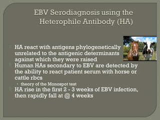 HA react with antigens phylogenetically
unrelated to the antigenic determinants
against which they were raised
 Human HAs secondary to EBV are detected by
the ability to react patient serum with horse or
cattle rbcs
• theory of the Monospot test
 HA rise in the first 2 - 3 weeks of EBV infection,
then rapidly fall at @ 4 weeks
 