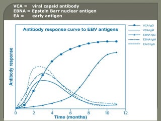 VCA = viral capsid antibody
EBNA = Epstein Barr nuclear antigen
EA = early antigen
 