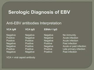 Anti-EBV antibodies Interpretation
VCA IgM VCA IgG EBNA-1 IgG
Negative Negative Negative No immunity
Positive Negative Negative Acute infection
Positive Positive Negative Acute infection
Negative Positive Positive Past infection
Negative Positive Negative Acute or past infection
Positive Positive Positive Late primary infection
Negative Negative Positive Past infection
VCA = viral capsid antibody
Serologic Diagnosis of EBV
 