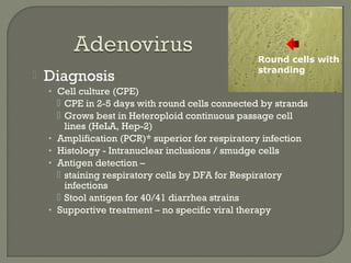  Diagnosis
• Cell culture (CPE)
 CPE in 2-5 days with round cells connected by strands
 Grows best in Heteroploid continuous passage cell
lines (HeLA, Hep-2)
• Amplification (PCR)* superior for respiratory infection
• Histology - Intranuclear inclusions / smudge cells
• Antigen detection –
 staining respiratory cells by DFA for Respiratory
infections
 Stool antigen for 40/41 diarrhea strains
• Supportive treatment – no specific viral therapy
Round cells with
stranding
 