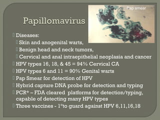  Diseases:
 Skin and anogenital warts,
 Benign head and neck tumors,
 Cervical and anal intraepithelial neoplasia and cancer
 HPV types 16, 18, & 45 = 94% Cervical CA
 HPV types 6 and 11 = 90% Genital warts
 Pap Smear for detection of HPV
 Hybrid capture DNA probe for detection and typing
 PCR* – FDA cleared platforms for detection/typing,
capable of detecting many HPV types
 Three vaccines - 1°to guard against HPV 6,11,16,18
Pap smear
 