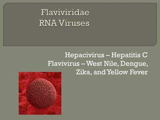Hepacivirus – Hepatitis C
Flavivirus – West Nile, Dengue,
Zika, andYellow Fever
 