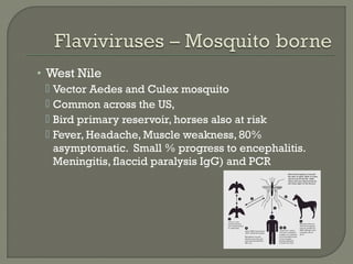 • West Nile
 Vector Aedes and Culex mosquito
 Common across the US,
 Bird primary reservoir, horses also at risk
 Fever, Headache, Muscle weakness, 80%
asymptomatic. Small % progress to encephalitis.
Meningitis, flaccid paralysis IgG) and PCR
 
