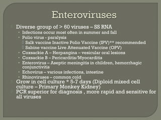  Diverse group of > 60 viruses – SS RNA
• Infections occur most often in summer and fall
• Polio virus - paralysis
 Salk vaccine Inactive Polio Vaccine (IPV)** recommended
 Sabine vaccine Live Attenuated Vaccine (OPV)
• Coxsackie A – Herpangina – vesicular oral lesions
• Coxsackie B – Pericarditis/Myocarditis
• Enterovirus – Aseptic meningitis in children, hemorrhagic
conjunctivitis
• Echovirus – various infections, intestine
• Rhinoviruses – common cold
 Grow in cell culture * 5-7 days (Diploid mixed cell
culture – Primary Monkey Kidney)
 PCR superior for diagnosis , more rapid and sensitive for
all viruses
 