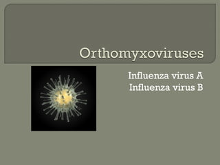 Influenza virus A
Influenza virus B
 