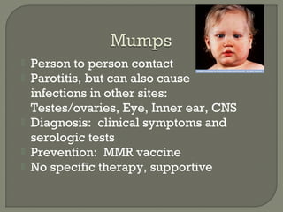  Person to person contact
 Parotitis, but can also cause
infections in other sites:
Testes/ovaries, Eye, Inner ear, CNS
 Diagnosis: clinical symptoms and
serologic tests
 Prevention: MMR vaccine
 No specific therapy, supportive
 