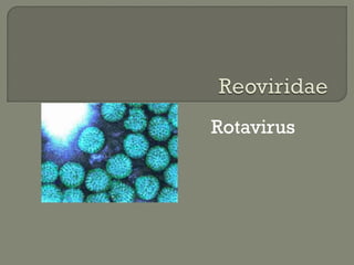 Rotavirus
 