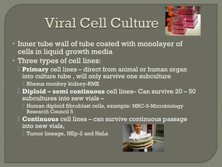 • Inner tube wall of tube coated with monolayer of
cells in liquid growth media
• Three types of cell lines:
 Primary cell lines – direct from animal or human organ
into culture tube , will only survive one subculture
 Rhesus monkey kidney-RMK
 Diploid – semi continuous cell lines– Can survive 20 – 50
subcultures into new vials –
 Human diploid fibroblast cells, example: MRC-5-Microbiology
Research Council 5
 Continuous cell lines – can survive continuous passage
into new vials,
 Tumor lineage, HEp-2 and HeLa
 