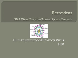 Human Immunodeficiency Virus
HIV
 