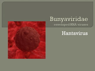 Hantavirus
 