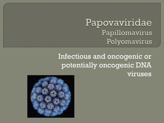 Virology Update 2017