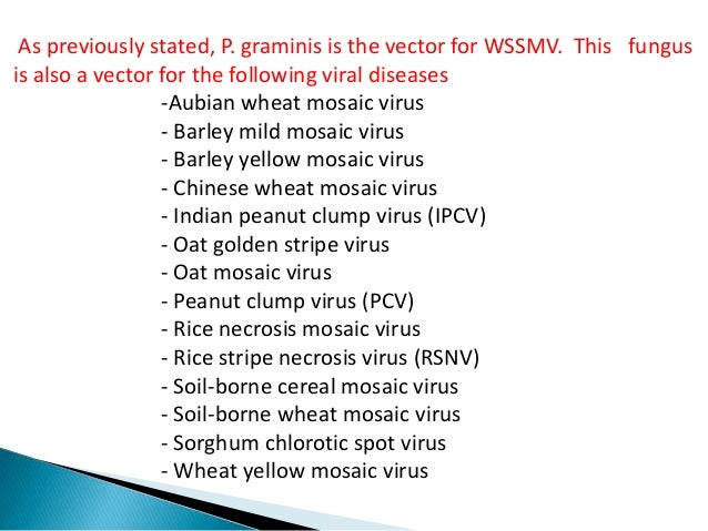 plant virus transmission through the fungal vectors