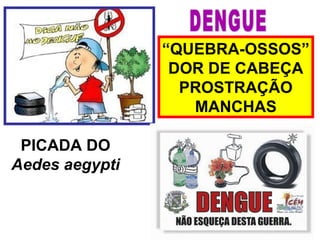 “QUEBRA-OSSOS”
DOR DE CABEÇA
PROSTRAÇÃO
MANCHAS
PICADA DO
Aedes aegypti
 