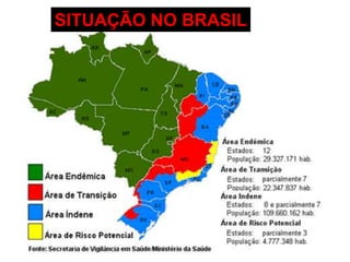 SITUAÇÃO NO BRASIL