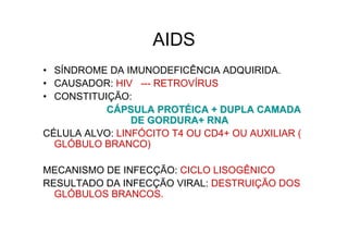 AIDS
• SÍNDROME DA IMUNODEFICÊNCIA ADQUIRIDA.
• CAUSADOR: HIV --- RETROVÍRUS
• CONSTITUIÇÃO:
CCÁÁPSULA PROTPSULA PROTÉÉICA + DUPLA CAMADAICA + DUPLA CAMADA
DE GORDURA+ RNADE GORDURA+ RNA
CÉLULA ALVO: LINFÓCITO T4 OU CD4+ OU AUXILIAR (
GLÓBULO BRANCO)
MECANISMO DE INFECÇÃO: CICLO LISOGÊNICO
RESULTADO DA INFECÇÃO VIRAL: DESTRUIÇÃO DOS
GLÓBULOS BRANCOS.
 