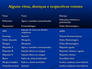 Alguns vírus, doenças e respectivos vetoresAlguns vírus, doenças e respectivos vetores
VírusVírus VetorVetor DoençaDoença
PoliovírusPoliovírus Água e comidas contaminadasÁgua e comidas contaminadas
Infecções entéricas eInfecções entéricas e
poliomielítepoliomielíte
HantavirusHantavirus CamundongosCamundongos Febre HemorrágicaFebre Hemorrágica
HIVHIV
Injeção de vírus em fluídosInjeção de vírus em fluídos
corpóreoscorpóreos
AIDSAIDS
SarampoSarampo AerosolAerosol Viroses ExantemáticasViroses Exantemáticas
Febre AmarelaFebre Amarela MosquitoMosquito Febre HemorrágicaFebre Hemorrágica
DengueDengue MosquitoMosquito Febre HemorrágicaFebre Hemorrágica
Hepatite AHepatite A Água e comidas contaminadasÁgua e comidas contaminadas Hepatite agudaHepatite aguda
Hepatite BHepatite B Injeção direta no sangueInjeção direta no sangue Hepatite crônica e agudaHepatite crônica e aguda
Hepatite CHepatite C Injeção direta no sangueInjeção direta no sangue Hepatite crônicaHepatite crônica
RaivaRaiva Saliva de animal infectadoSaliva de animal infectado Encefalite fatalEncefalite fatal
Herpes-simplexHerpes-simplex Saliva e outras secreçõesSaliva e outras secreções Lesões cutâneas com latênciaLesões cutâneas com latência
Varicella-zoosterVaricella-zooster AerosolAerosol Lesões cutâneas com latênciaLesões cutâneas com latência
 